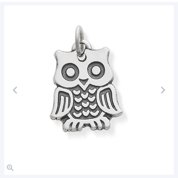 James Avery Jewelry - James Avery Hooty Owl Charm